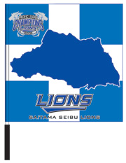Lions2008_flag1.jpg